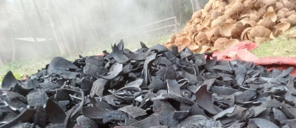 Coconut Shell Charcoal