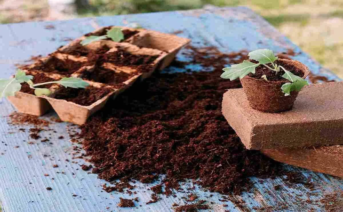 Coco Peat (Blocks / Loose)