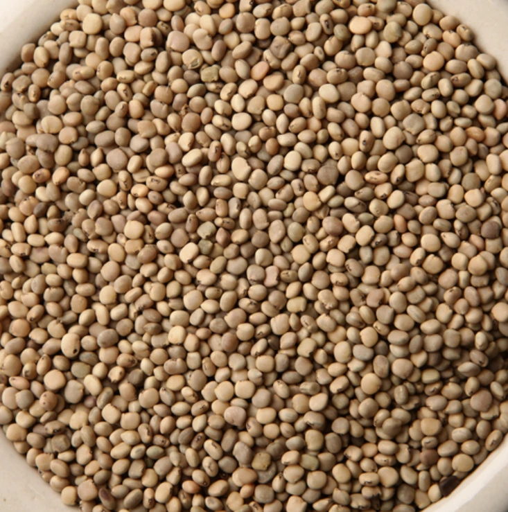 Guar Seeds